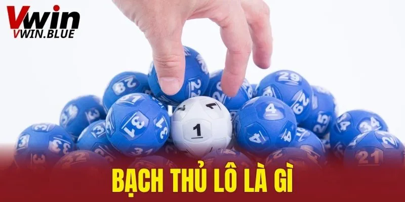 Bạch thủ lô là gì