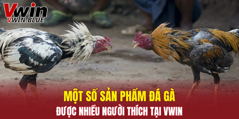 Một số sản phẩm đá gà được nhiều người thích tại Vwin