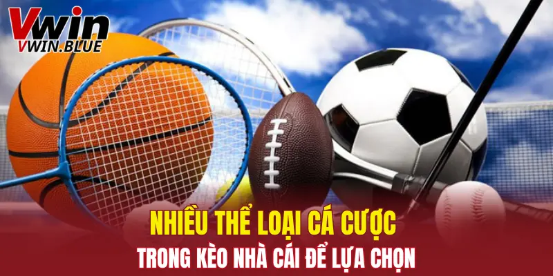 Nhiều thể loại cá cược trong kèo nhà cái để lựa chọn