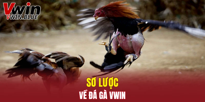 Sơ lược về đá gà Vwin
