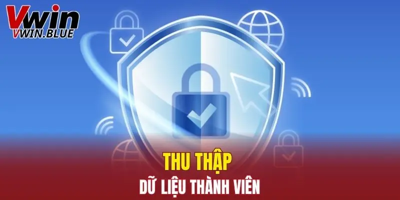 Thu thập dữ liệu thành viên